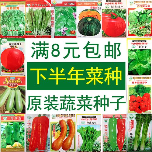 菜种籽种子菜种大全四季春夏季南方阳台农家青菜蔬菜种孑子菜籽菜