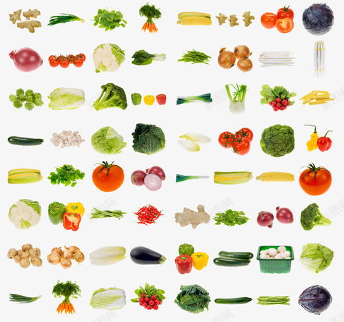 3d图案各种水果蔬菜 元素 免抠png 设计图片 免费下载 页面网页 平面电商 创意素材 蔬菜卡通素材