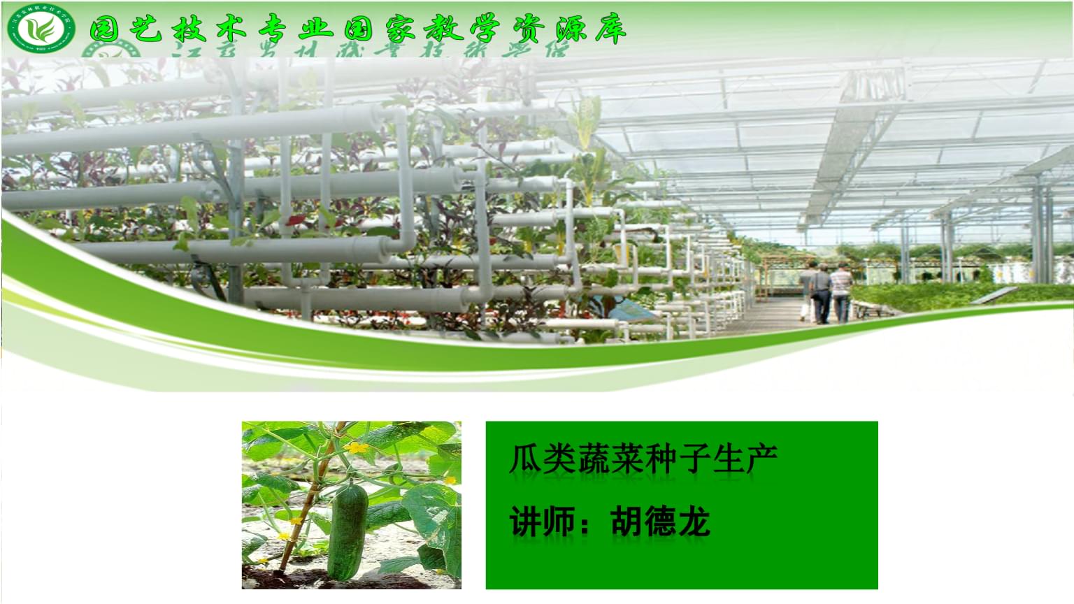 园艺植物种子生产 主要蔬菜植物种子生产 1、瓜类蔬菜种子生产.ppt