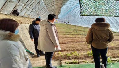 清河区农业农村局开展农产品食品安全检查